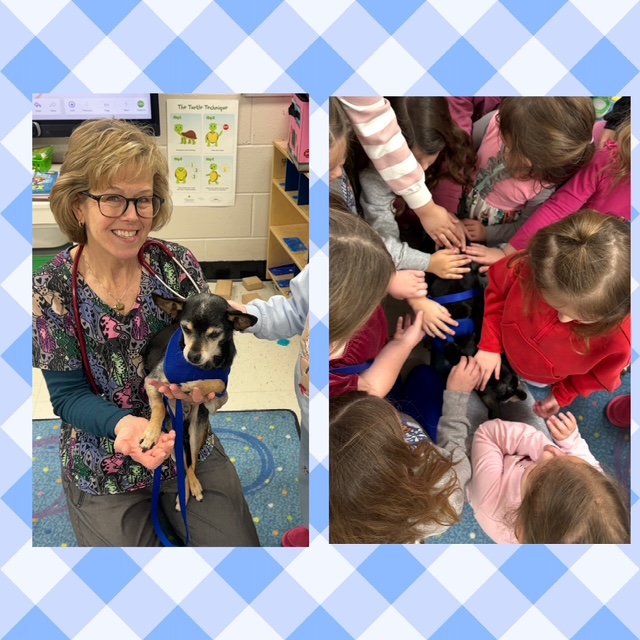 A Visit with our Local Veterinarian